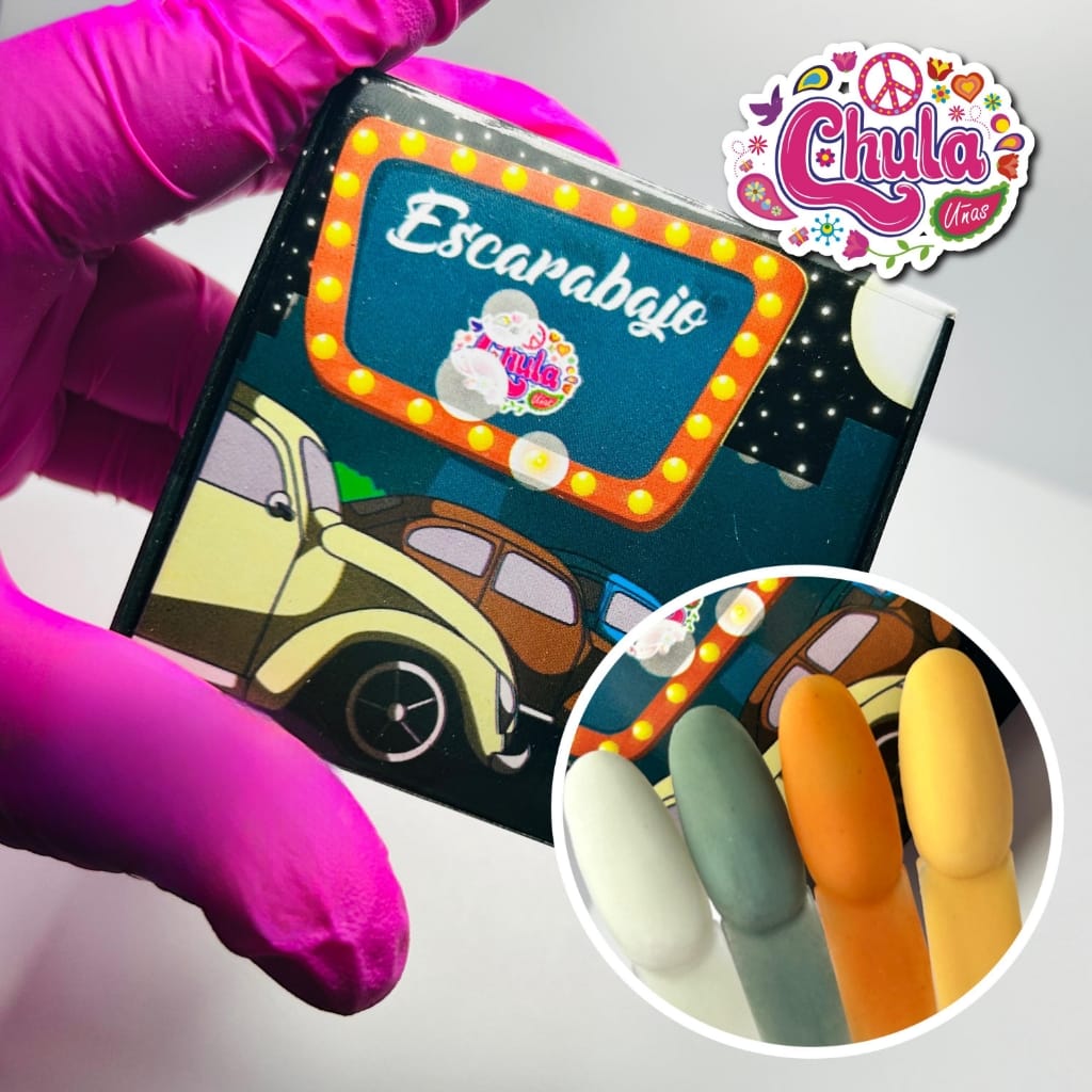 COLECCIONES DE ACRILICOS ESCARABAJO4 Pzas 7gr